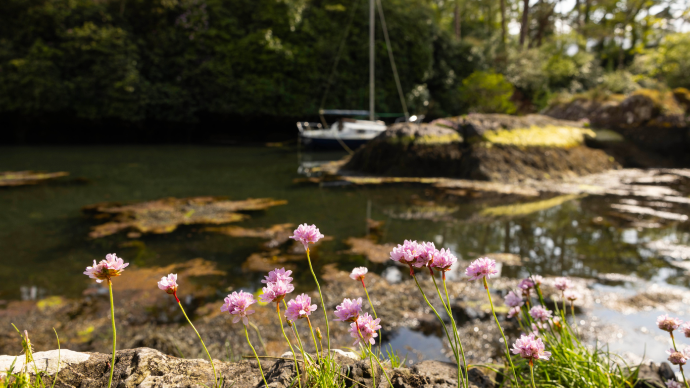 Eccles avvio website images (7)