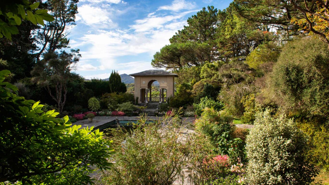 medium-230914CH077-(1)